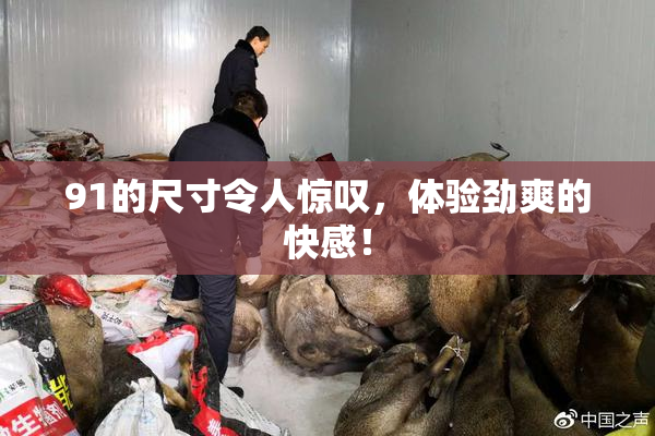 91的尺寸令人惊叹，体验劲爽的快感！