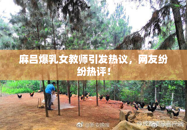 麻吕爆乳女教师引发热议，网友纷纷热评！
