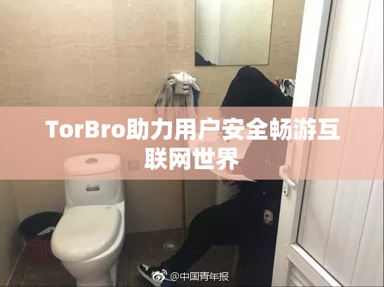 TorBro助力用户安全畅游互联网世界
