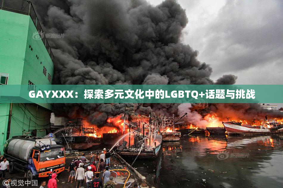 GAYXXX：探索多元文化中的LGBTQ+话题与挑战