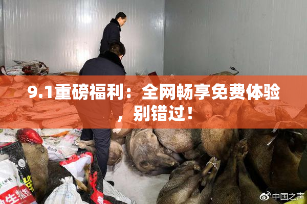 9.1重磅福利：全网畅享免费体验，别错过！