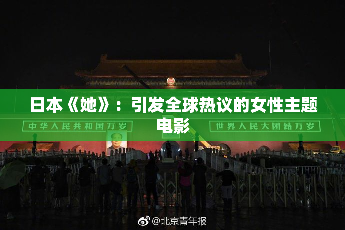 日本《她》：引发全球热议的女性主题电影