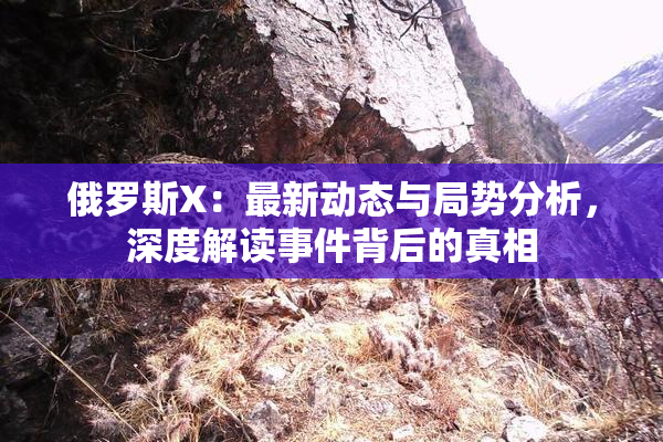俄罗斯X：最新动态与局势分析，深度解读事件背后的真相