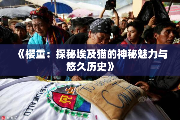 《樱重：探秘埃及猫的神秘魅力与悠久历史》