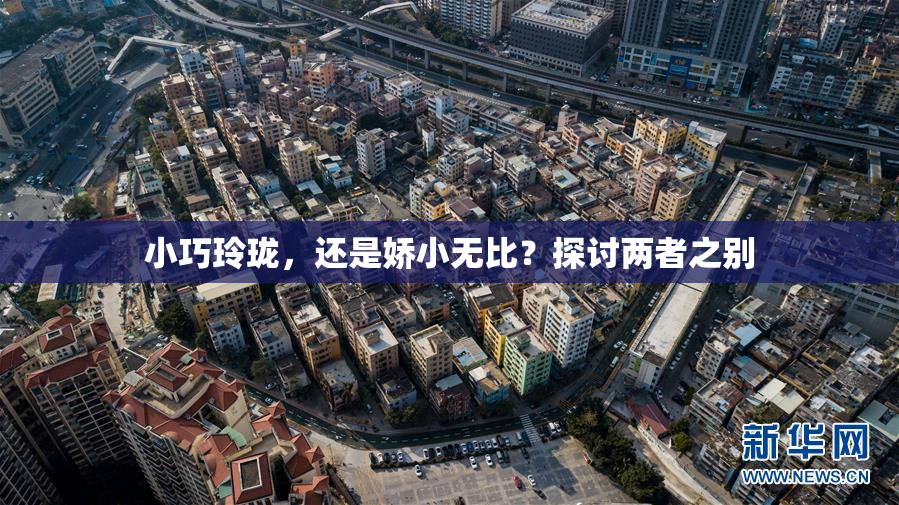 小巧玲珑，还是娇小无比？探讨两者之别