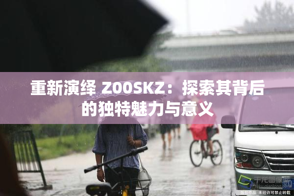 重新演绎 Z00SKZ：探索其背后的独特魅力与意义