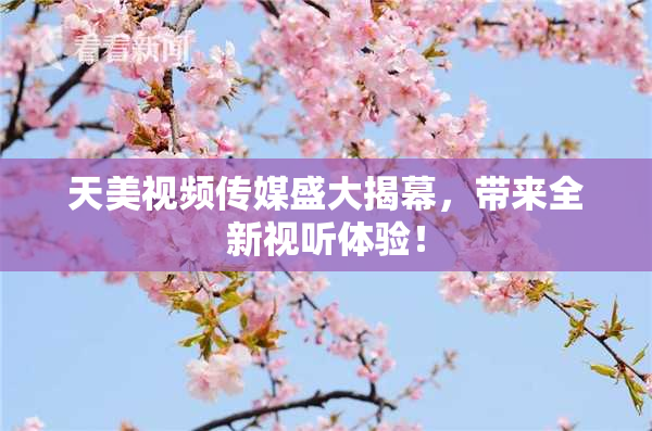 天美视频传媒盛大揭幕，带来全新视听体验！
