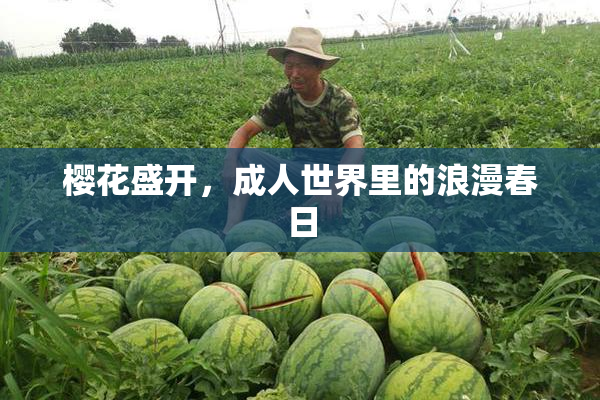 樱花盛开，成人世界里的浪漫春日