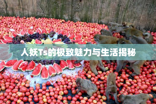 人妖Ts的极致魅力与生活揭秘