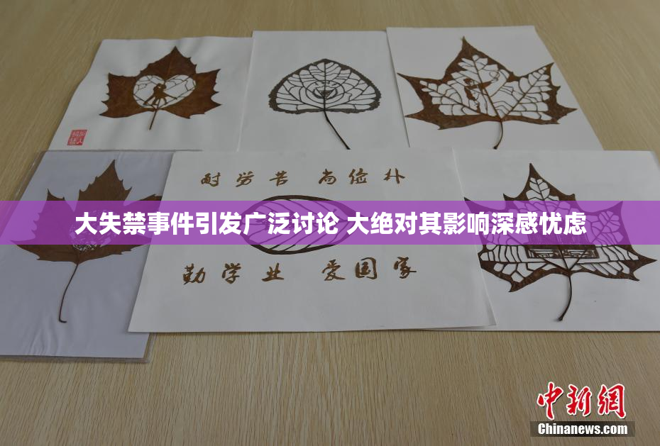 大失禁事件引发广泛讨论 大绝对其影响深感忧虑