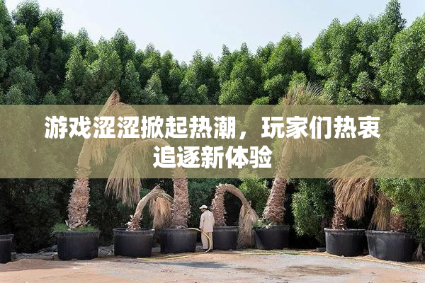 游戏涩涩掀起热潮，玩家们热衷追逐新体验