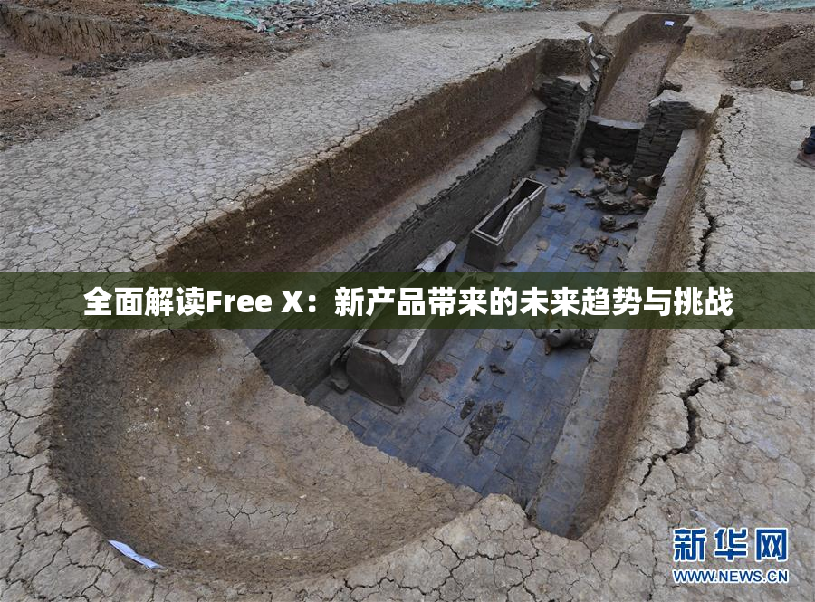 全面解读Free X：新产品带来的未来趋势与挑战
