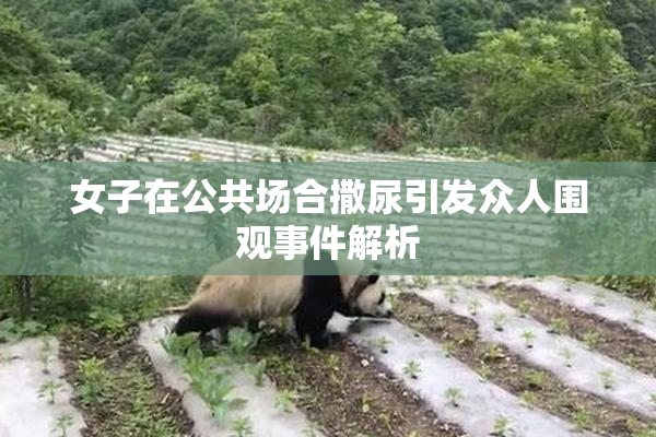 女子在公共场合撒尿引发众人围观事件解析