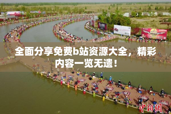 全面分享免费b站资源大全，精彩内容一览无遗！