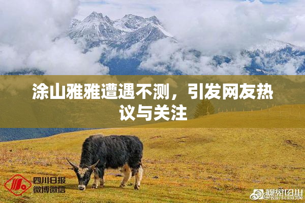涂山雅雅遭遇不测，引发网友热议与关注