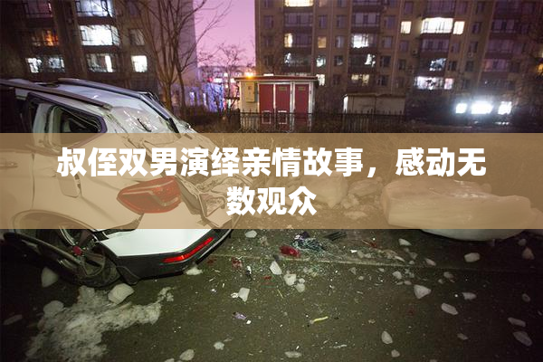 叔侄双男演绎亲情故事，感动无数观众
