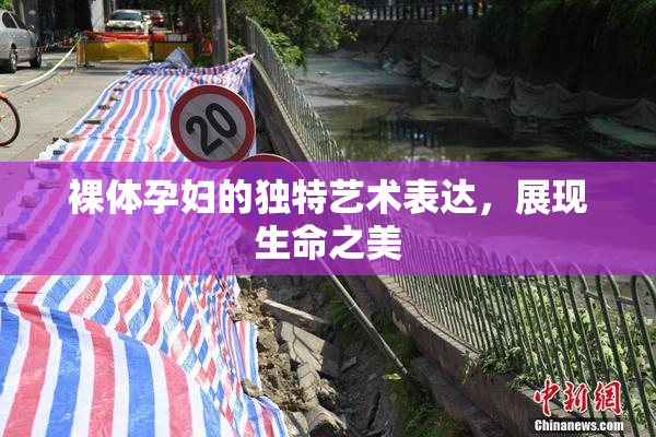 裸体孕妇的独特艺术表达，展现生命之美