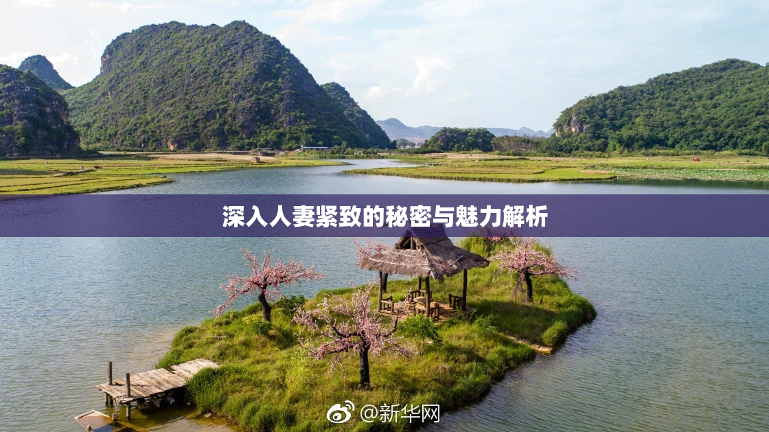 深入人妻紧致的秘密与魅力解析
