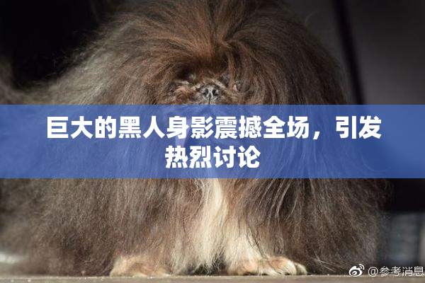 巨大的黑人身影震撼全场，引发热烈讨论