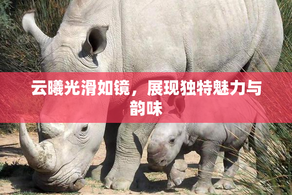 云曦光滑如镜，展现独特魅力与韵味