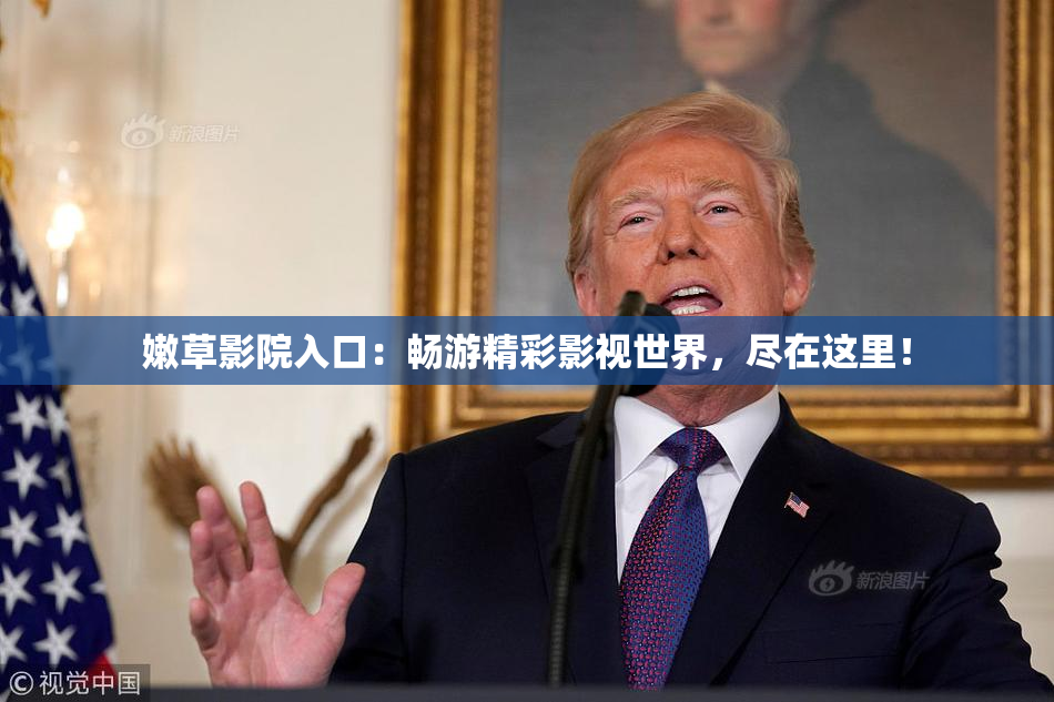 嫩草影院入口：畅游精彩影视世界，尽在这里！