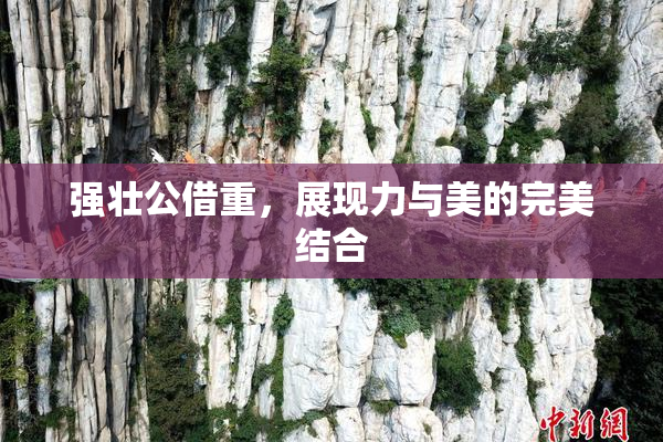 强壮公借重，展现力与美的完美结合