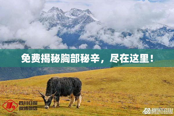 免费揭秘胸部秘辛，尽在这里！
