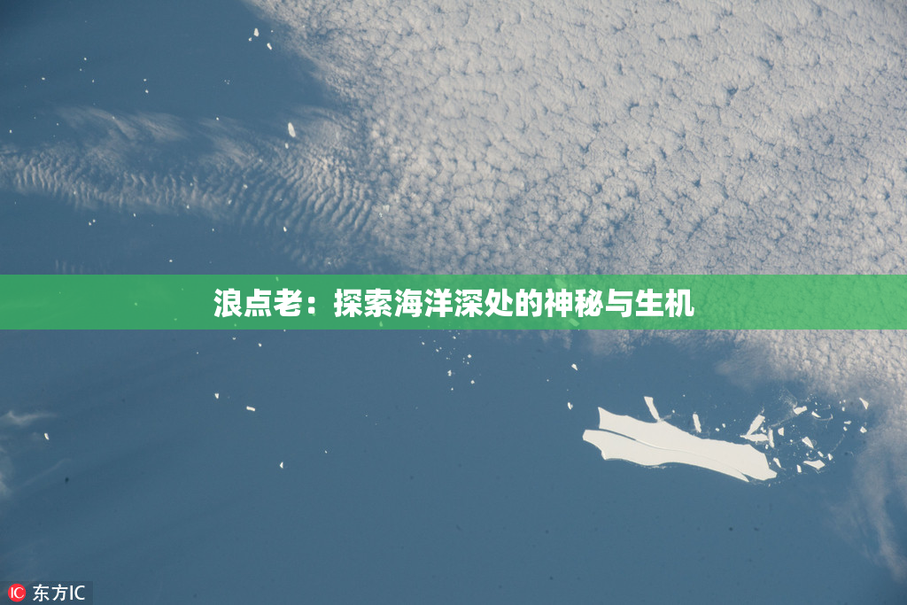 浪点老：探索海洋深处的神秘与生机