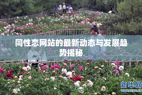同性恋网站的最新动态与发展趋势揭秘