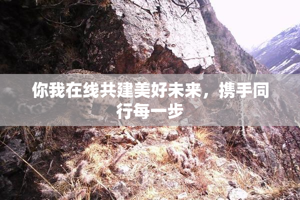 你我在线共建美好未来，携手同行每一步