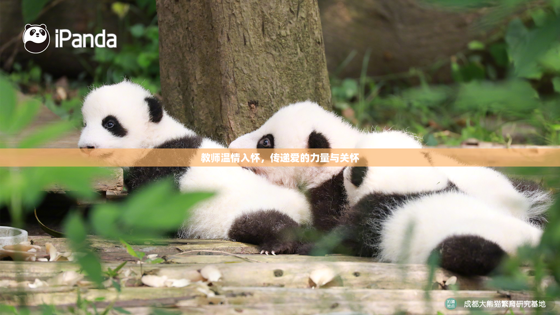 教师温情入怀，传递爱的力量与关怀