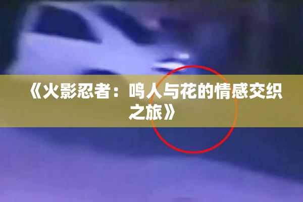 《火影忍者：鸣人与花的情感交织之旅》