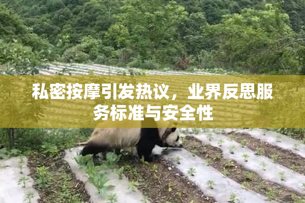 私密按摩引发热议，业界反思服务标准与安全性