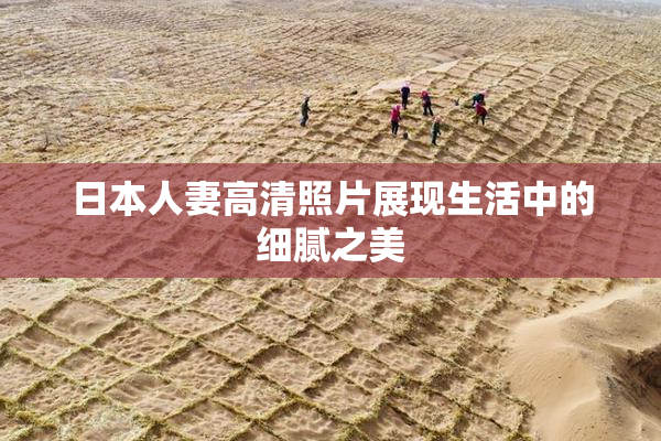 日本人妻高清照片展现生活中的细腻之美