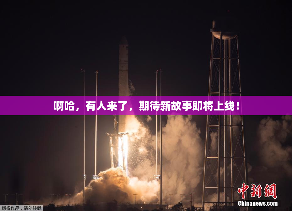 啊哈，有人来了，期待新故事即将上线！