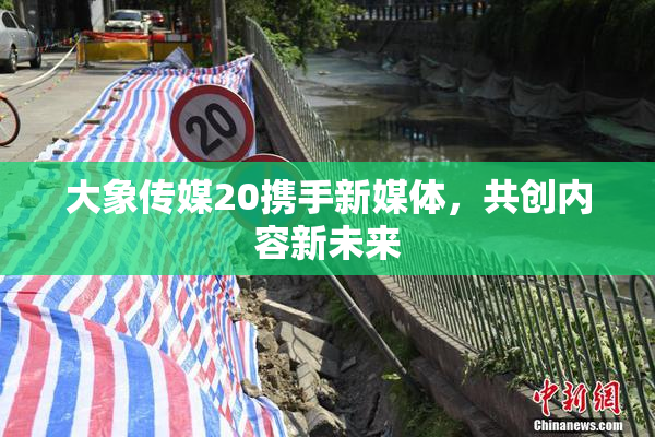 大象传媒20携手新媒体，共创内容新未来