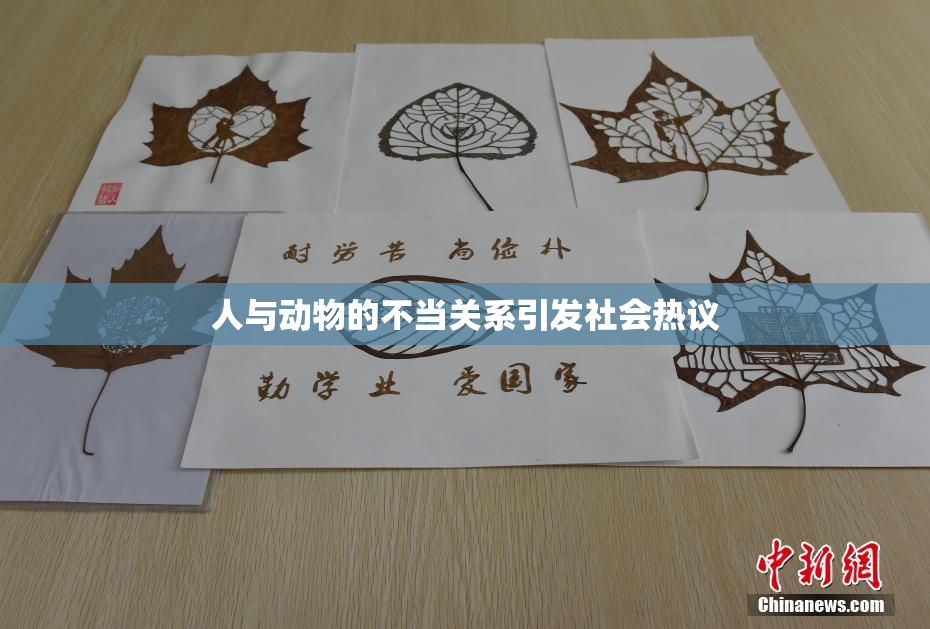 人与动物的不当关系引发社会热议