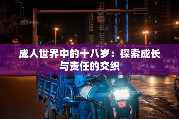 成人世界中的十八岁：探索成长与责任的交织
