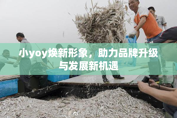 小yoy焕新形象，助力品牌升级与发展新机遇