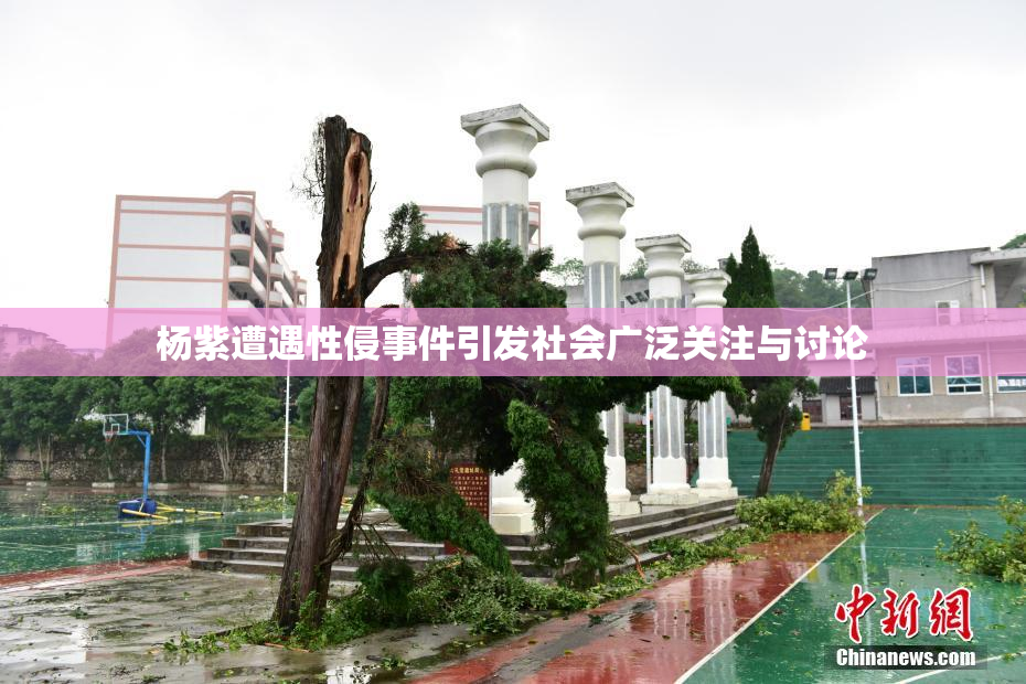 杨紫遭遇性侵事件引发社会广泛关注与讨论
