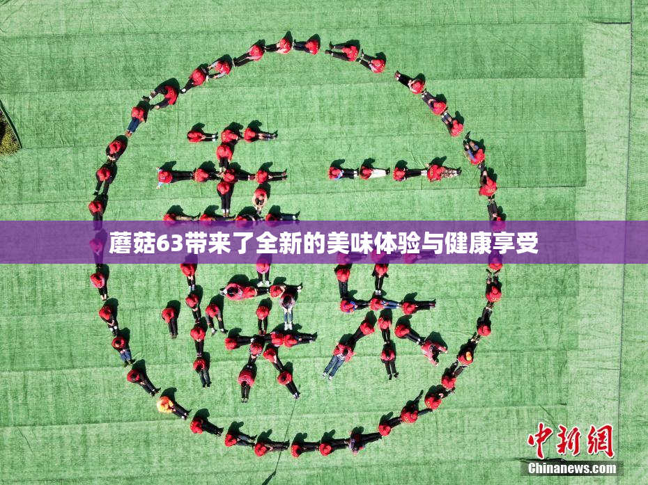 蘑菇63带来了全新的美味体验与健康享受