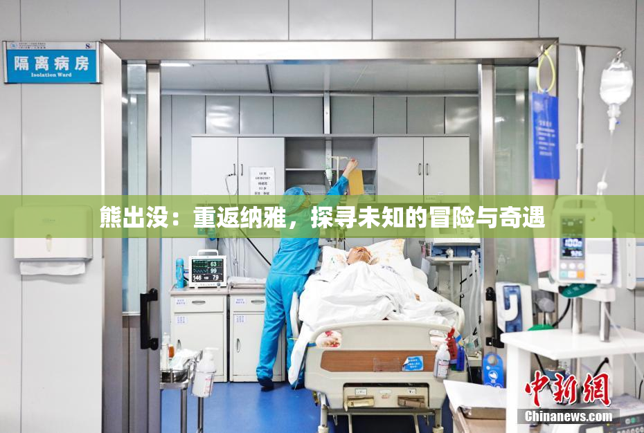 熊出没：重返纳雅，探寻未知的冒险与奇遇
