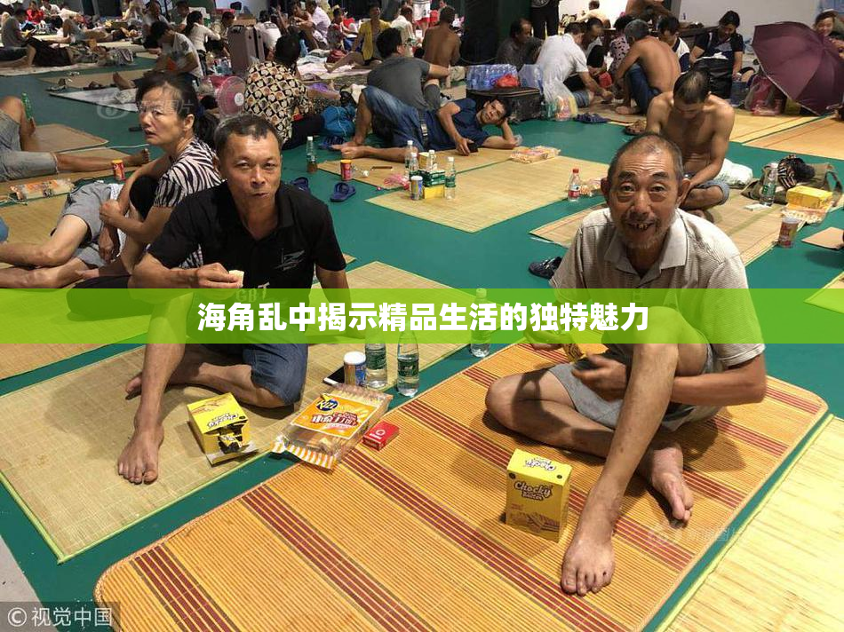 海角乱中揭示精品生活的独特魅力