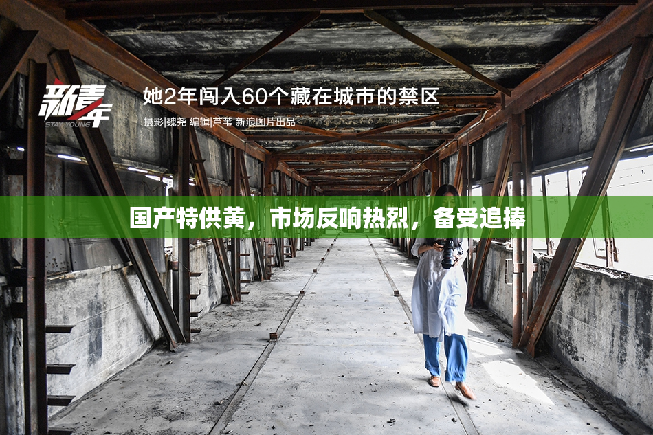 国产特供黄，市场反响热烈，备受追捧