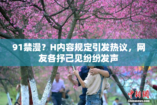 91禁漫？H内容规定引发热议，网友各抒己见纷纷发声