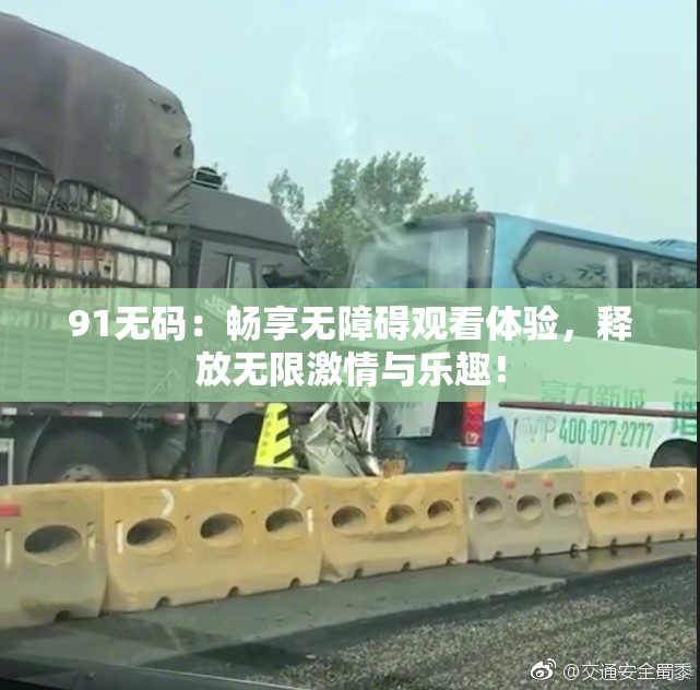 91无码：畅享无障碍观看体验，释放无限激情与乐趣！