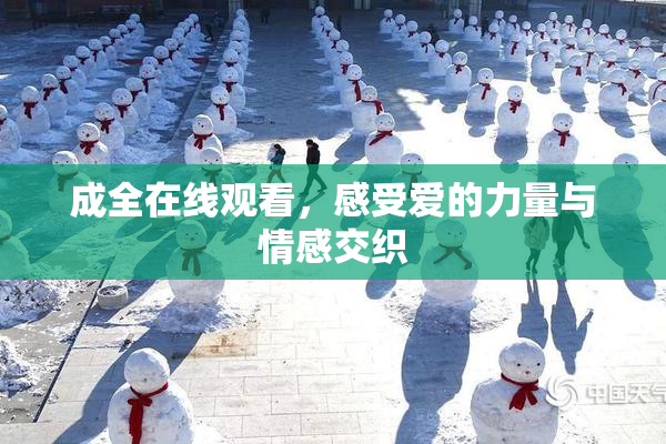 成全在线观看，感受爱的力量与情感交织