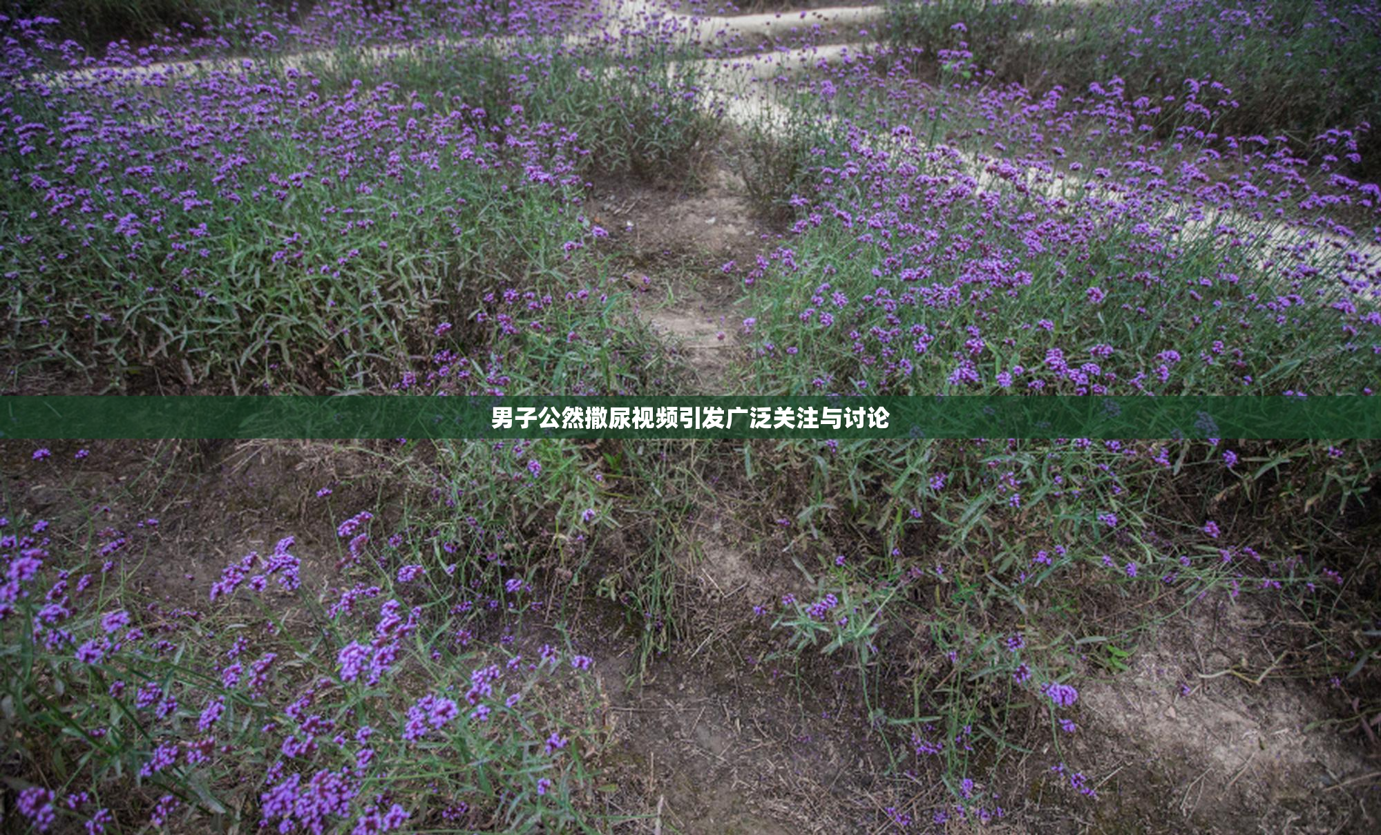 男子公然撒尿视频引发广泛关注与讨论