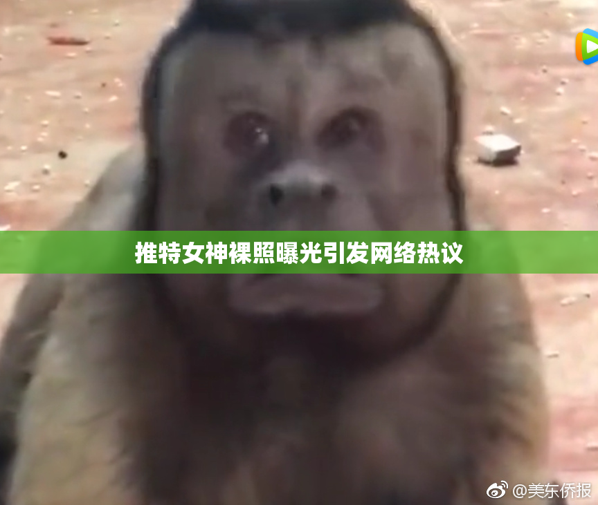 推特女神裸照曝光引发网络热议