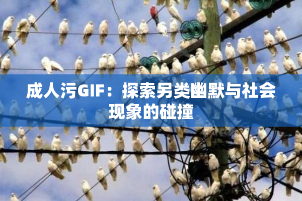 成人污GIF：探索另类幽默与社会现象的碰撞